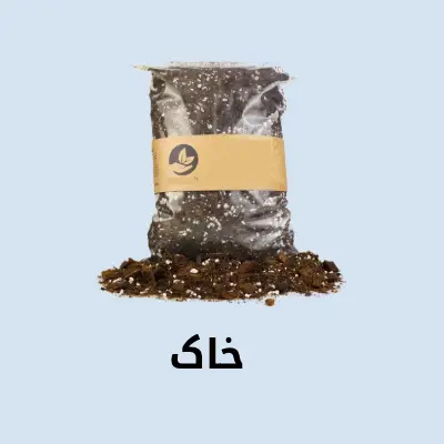 تنوعی در فضای گلخانه با بونسای